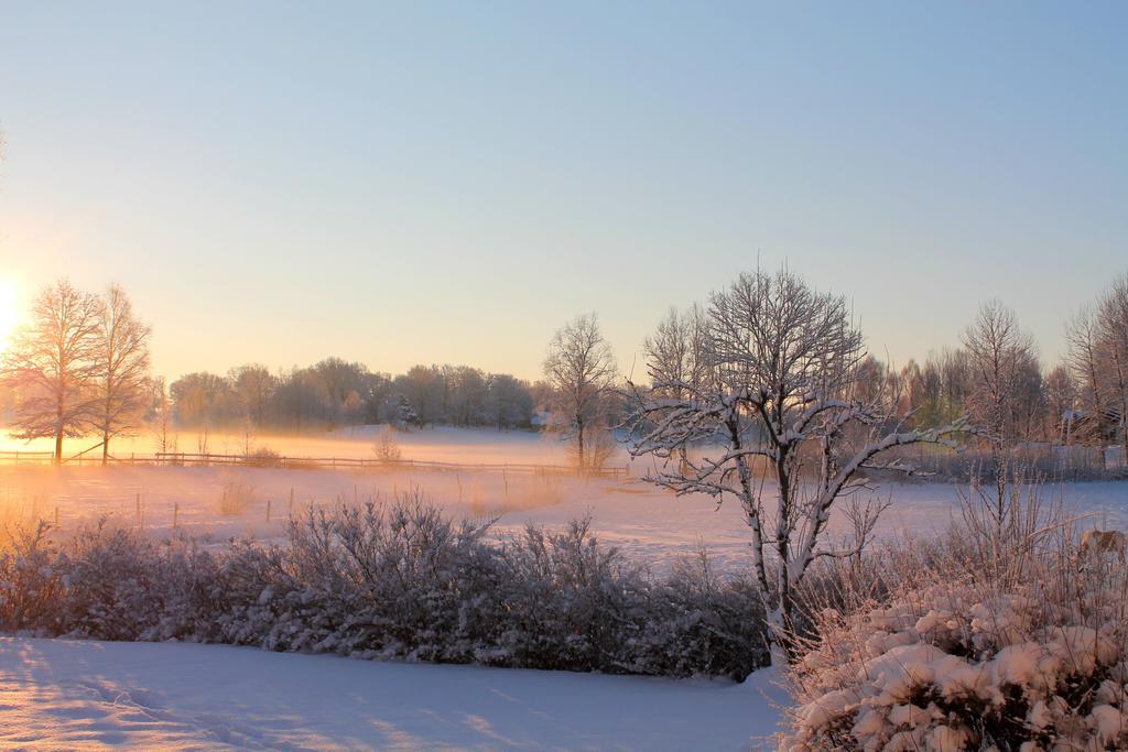 Hoehaellets Lantliga Rum Bed and Breakfast Värnamo Εξωτερικό φωτογραφία